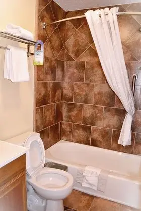 Stüdyo Süit, 1 En Büyük (King) Boy Yatak, Sigara İçilmez