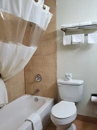 Süit, 1 En Büyük (King) Boy Yatak, Sigara İçilebilir (One-Bedroom)