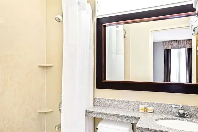 Tek Büyük Yataklı Oda, 2 Çift Kişilik Yatak, Sigara İçilebilir