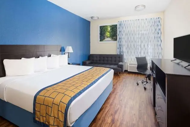 Süit, 1 En Büyük (King) Boy Yatak, Sigara İçilmez (One-Bedroom)