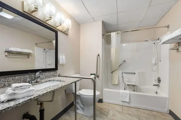Engellilere Uygun Banyo