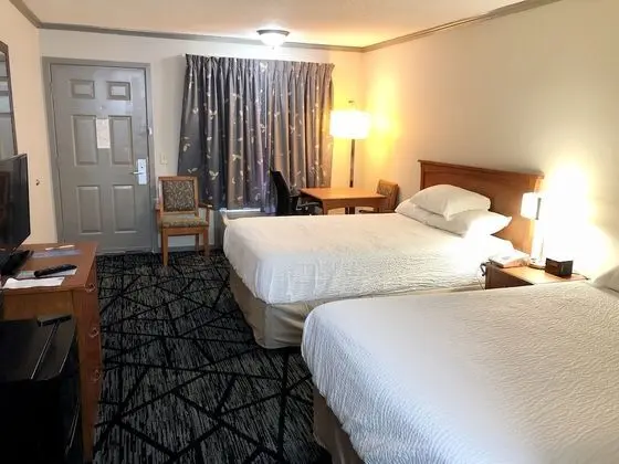 Tek Büyük Yataklı Oda, 2 Çift Kişilik Yatak