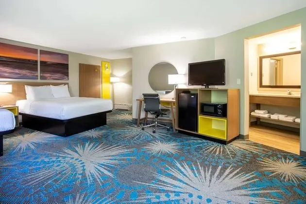 Stüdyo Süit, Birden Çok Yatak, Sigara İçilmez