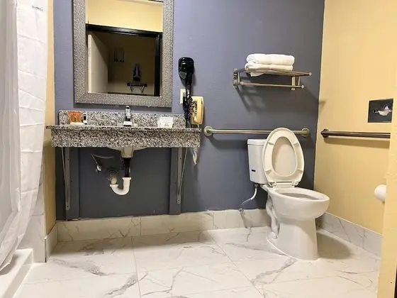 Oda, 1 En Büyük (King) Boy Yatak, Engellilere Uygun, Sigara İçilmez (Mobility)