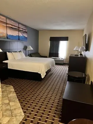 Stüdyo Süit, 1 En Büyük (King) Boy Yatak, Sigara İçilmez