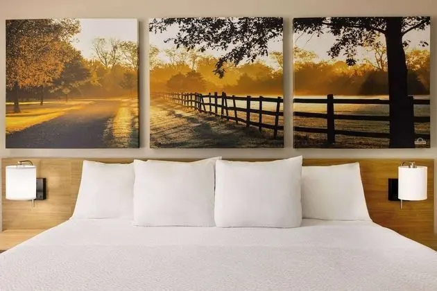 Standard Oda, 1 En Büyük (King) Boy Yatak