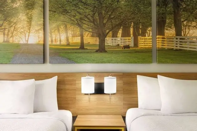 Süit, Birden Çok Yatak, Sigara İçilmez, Mutfak