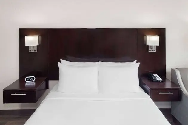 Oda, 1 Büyük (Queen) Boy Yatak, Engellilere Uygun (Mobility Accessible, Pet-Friendly)