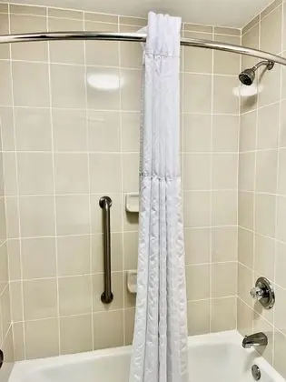 Oda, 1 Büyük (Queen) Boy Yatak, Engellilere Uygun (Mobility Accessible, Pet-Friendly)