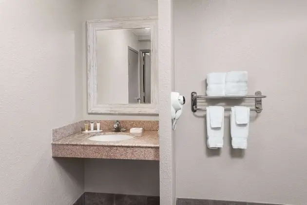Oda, 1 Büyük (Queen) Boy Yatak, Engellilere Uygun (Mobility Accessible, Pet-Friendly)