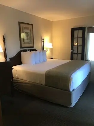 Süit, 1 En Büyük (King) Boy Yatak, Sigara İçilmez (One-Bedroom)