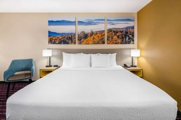 Oda, 1 En Büyük (King) Boy Yatak, Sigara İçilmez (Pet-friendly)