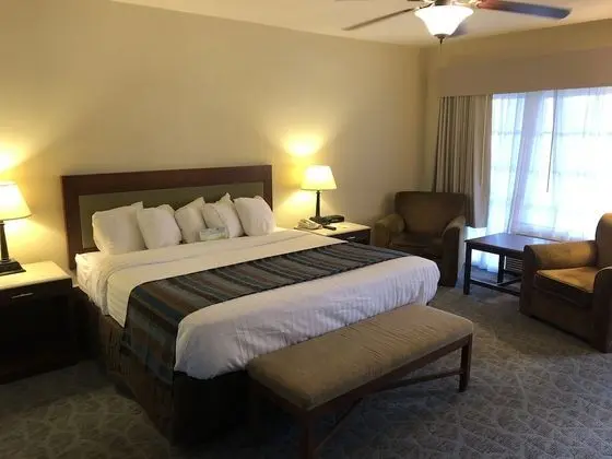 Deluxe Oda, 1 En Büyük (King) Boy Yatak, Sigara İçilmez (First Floor)