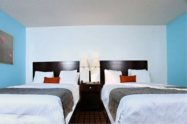 Comfort Oda, 2 Büyük (Queen) Boy Yatak, Sigara İçilmez