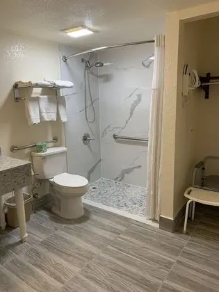 Oda, 1 En Büyük (King) Boy Yatak, Engellilere Uygun, Sigara İçilmez (Mobility)