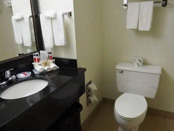 Deluxe Oda, Birden Çok Yatak, Sigara İçilmez