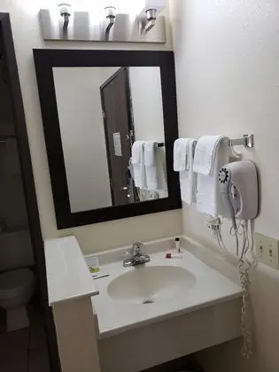 Oda, 1 Büyük (Queen) Boy Yatak, Sigara İçilmez (Pet Friendly)