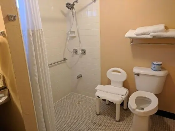 Oda, 1 En Büyük (King) Boy Yatak, Engellilere Uygun, Sigara İçilmez (Roll-In Shower)