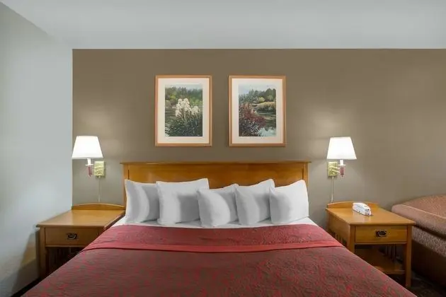 Oda, 1 En Büyük (King) Boy Yatak, Sigara İçilmez (Pet-Friendly)