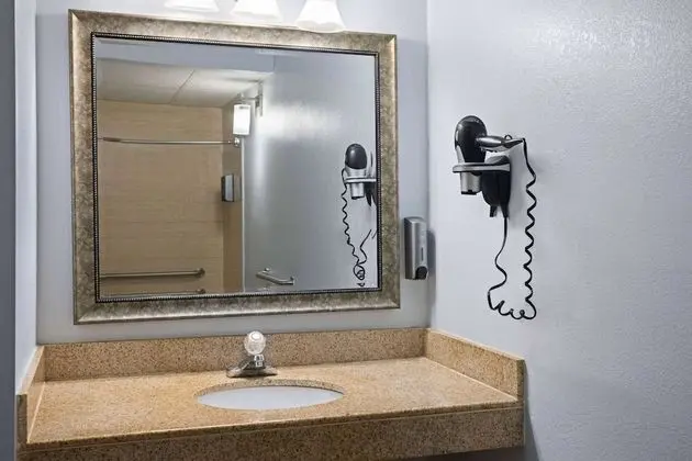 Oda, 1 En Büyük (King) Boy Yatak, Engellilere Uygun, Sigara İçilmez (Roll-In Shower)