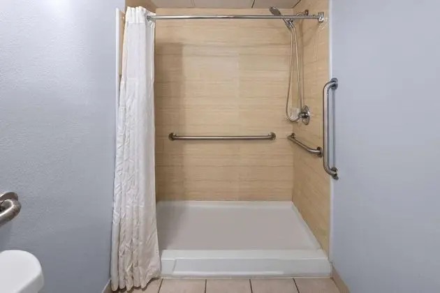 Oda, 1 En Büyük (King) Boy Yatak, Engellilere Uygun, Sigara İçilmez (Roll-In Shower)