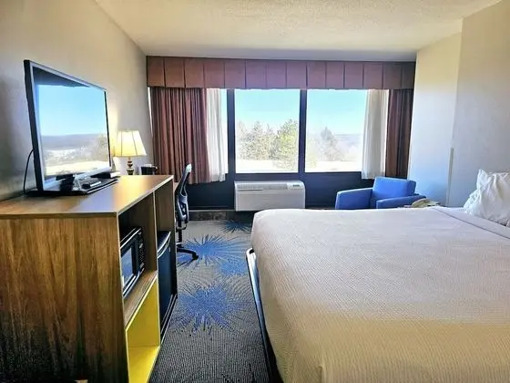 Oda, 1 En Büyük (King) Boy Yatak, Engellilere Uygun, Sigara İçilmez (Mobility, Bathtub w/Grab Bars)