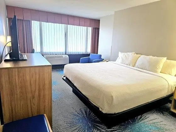 Oda, 1 En Büyük (King) Boy Yatak, Sigara İçilmez