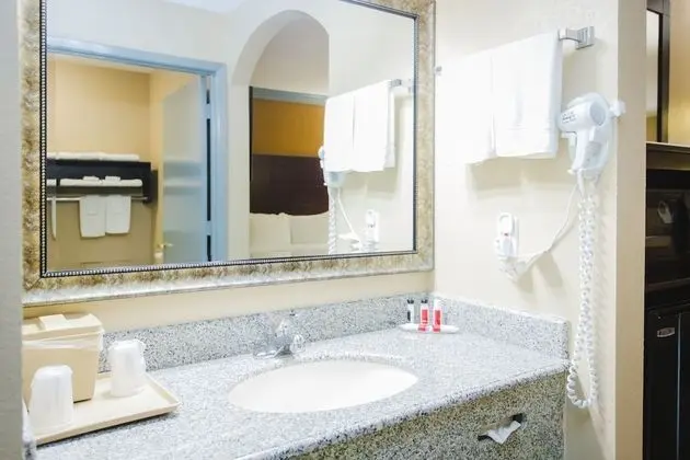 Oda, 1 En Büyük (King) Boy Yatak, Engellilere Uygun, Sigara İçilmez (Roll-In Shower)