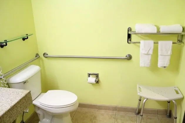 Oda, 1 Büyük (Queen) Boy Yatak, Engellilere Uygun, Sigara İçilmez (Mobility,Tub w/Grab Bars)