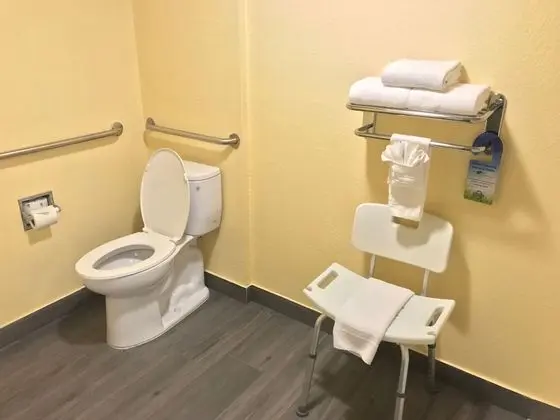 Oda, 1 En Büyük (King) Boy Yatak, Engellilere Uygun, Sigara İçilmez (Roll-In Shower)