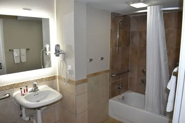 Oda, 1 En Büyük (King) Boy Yatak, Engellilere Uygun (Mobility,Hearing,Roll-In Shower)