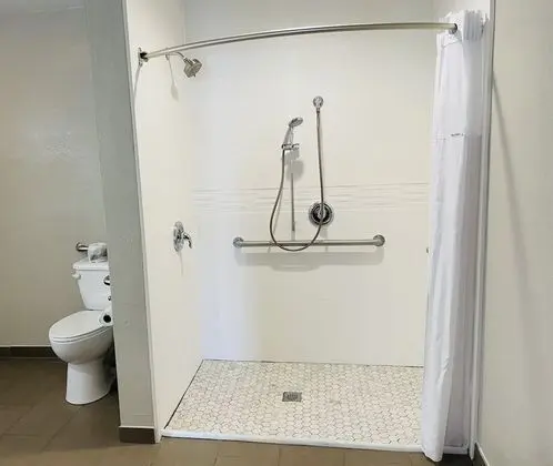 Oda, 1 En Büyük (King) Boy Yatak, Engellilere Uygun, Sigara İçilmez (Roll-In Shower)