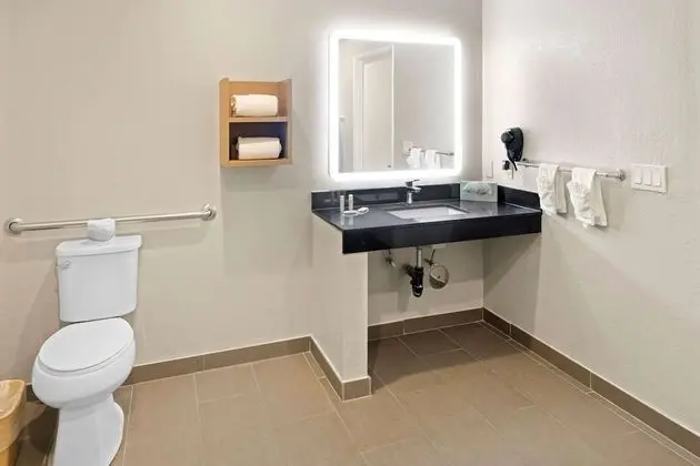 Oda, 1 En Büyük (King) Boy Yatak, Engellilere Uygun, Sigara İçilmez (Roll-In Shower)