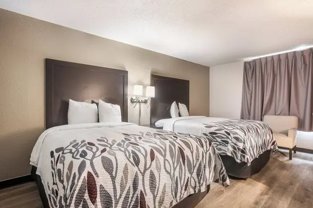 Deluxe Oda, 2 Çift Kişilik Yatak, Engellilere Uygun, Sigara İçilmez