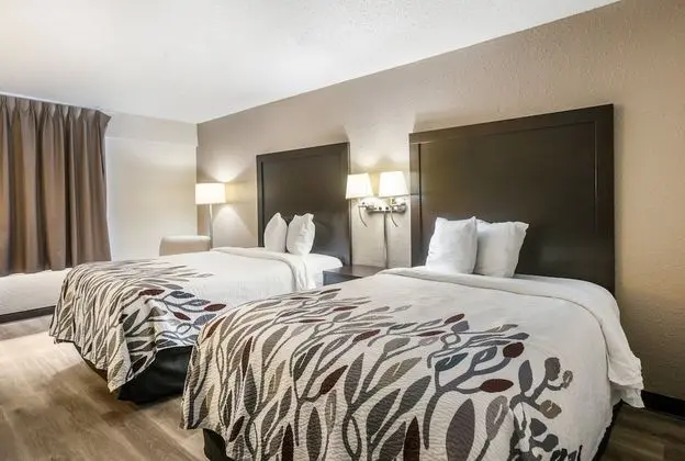 Deluxe Oda, 2 Çift Kişilik Yatak, Engellilere Uygun, Sigara İçilmez