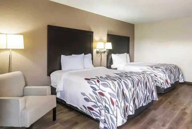 Deluxe Oda, 2 Çift Kişilik Yatak, Engellilere Uygun, Sigara İçilmez