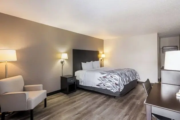 Superior Oda, 1 En Büyük (King) Boy Yatak, Sigara İçilmez