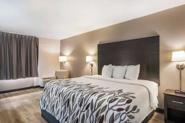 Superior Oda, 1 En Büyük (King) Boy Yatak, Sigara İçilmez