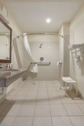 Oda, 1 Büyük (Queen) Boy Yatak, Engellilere Uygun, Sigara İçilmez (Tub with Grab Bars)