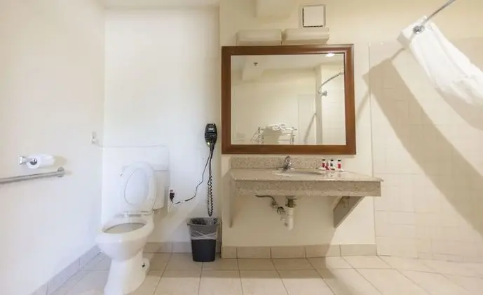 Oda, 1 Büyük (Queen) Boy Yatak, Engellilere Uygun, Sigara İçilmez (Tub with Grab Bars)