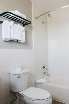 Standard Oda, 1 En Büyük (King) Boy Yatak