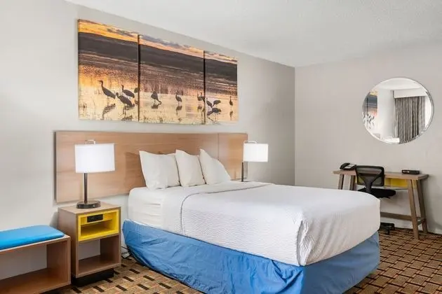 Standard Oda, 1 Büyük (Queen) Boy Yatak