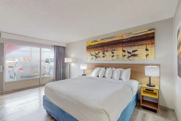 Standard Oda, 1 En Büyük (King) Boy Yatak