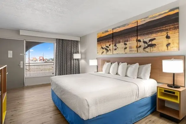 Standard Oda, 1 En Büyük (King) Boy Yatak