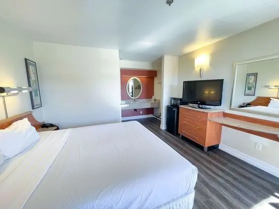 Deluxe Oda, 1 En Büyük (King) Boy Yatak, Sigara İçilmez