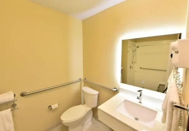 Oda, 1 En Büyük (King) Boy Yatak, Engellilere Uygun, Sigara İçilmez