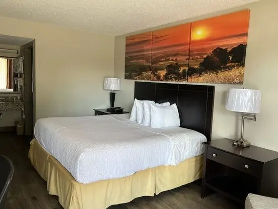 Standard Oda, 1 En Büyük (King) Boy Yatak, Sigara İçilmez