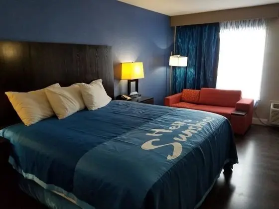 Oda, 1 En Büyük (King) Boy Yatak, Engellilere Uygun, Sigara İçilmez