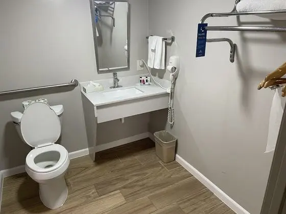 Standard Oda, 1 En Büyük (King) Boy Yatak, Engellilere Uygun, Sigara İçilmez (Mobility Accessible)