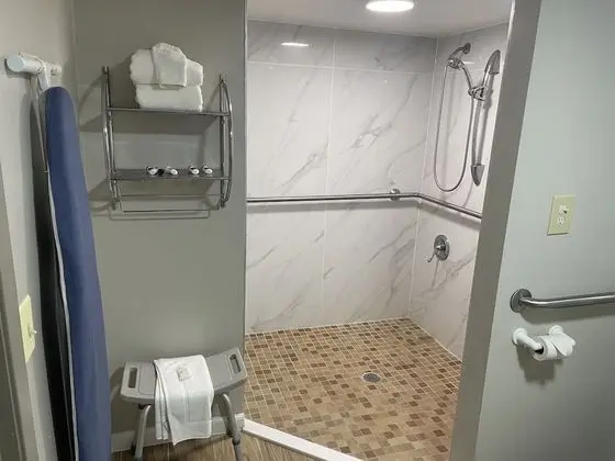 Standard Oda, 1 En Büyük (King) Boy Yatak, Engellilere Uygun, Sigara İçilmez (Mobility Accessible)